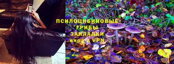 амф Ладушкин