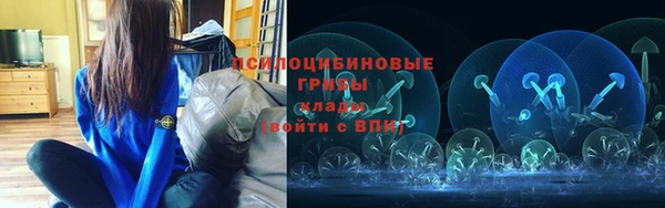 прущие крисы Ладушкин
