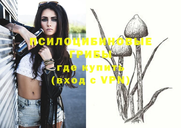 амфетамин Лабытнанги