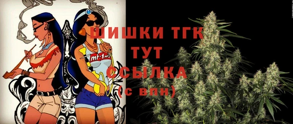 амф Ладушкин