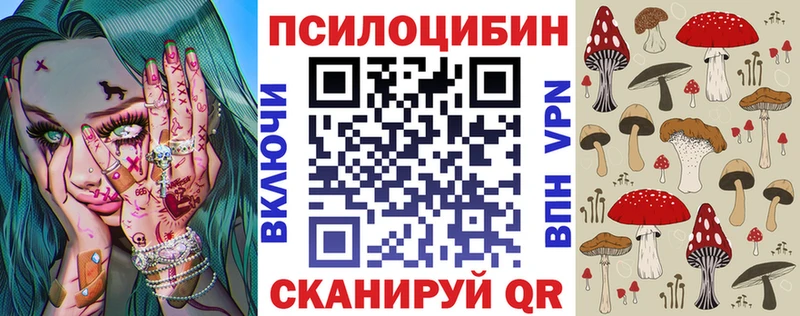Псилоцибиновые грибы Psilocybe  Строитель 