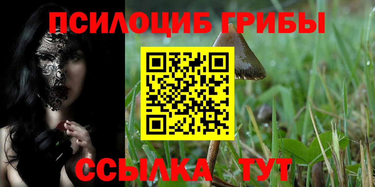 Строитель  Псилоцибиновые грибы ЛСД  Вход с VPN  Галлюциногенные грибы Cubensis 
