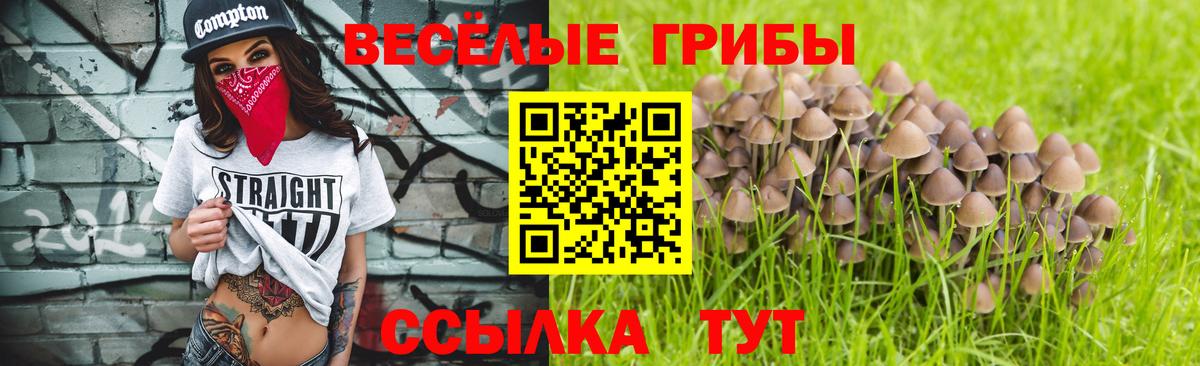 Псилоцибиновые грибы мицелий Строитель